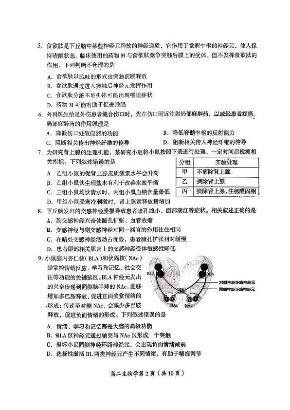 18102927第2页