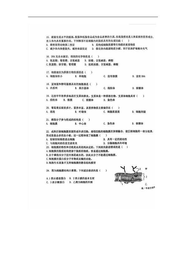 18103007第3页