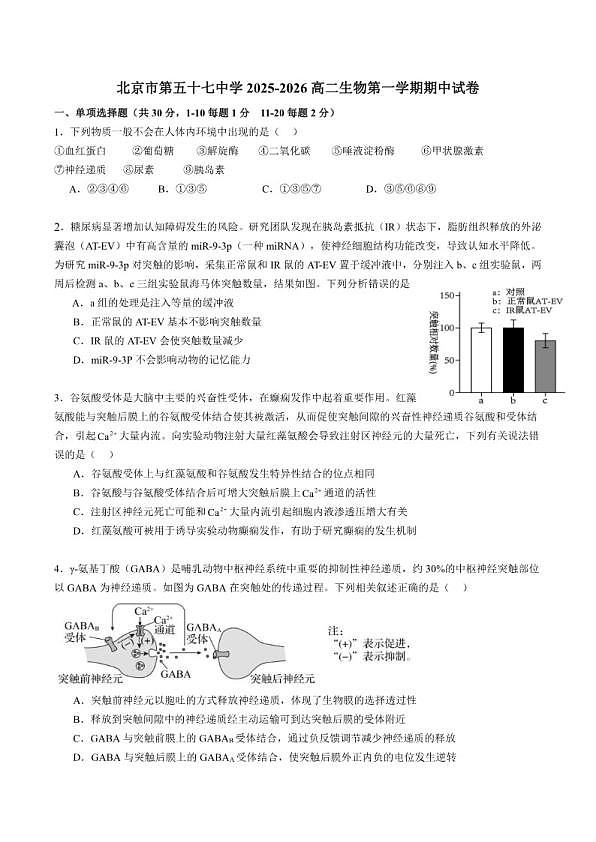 18103162第1页