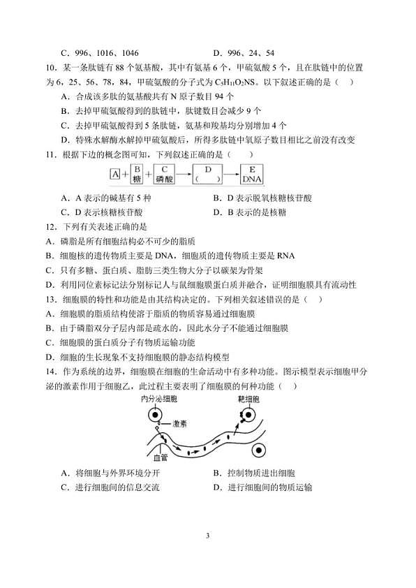 18103163第3页