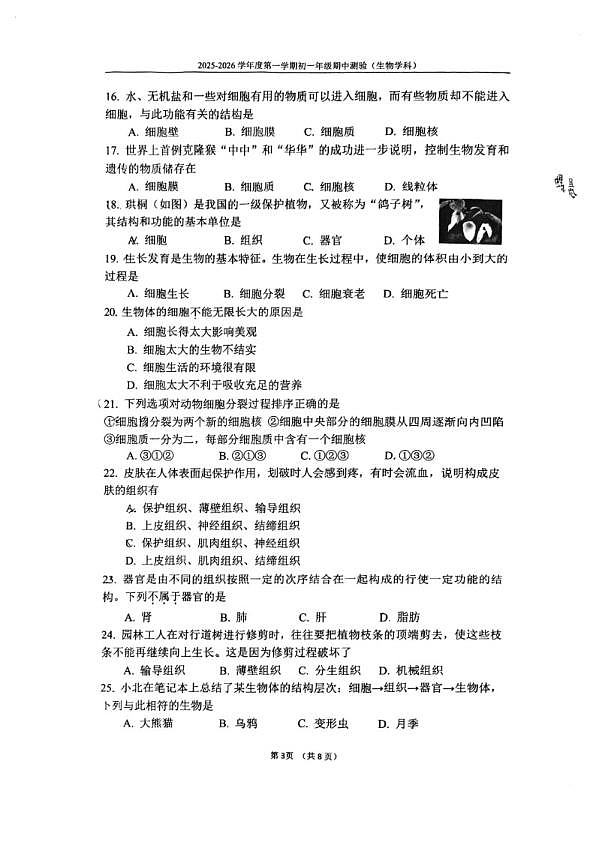 18103279第3页