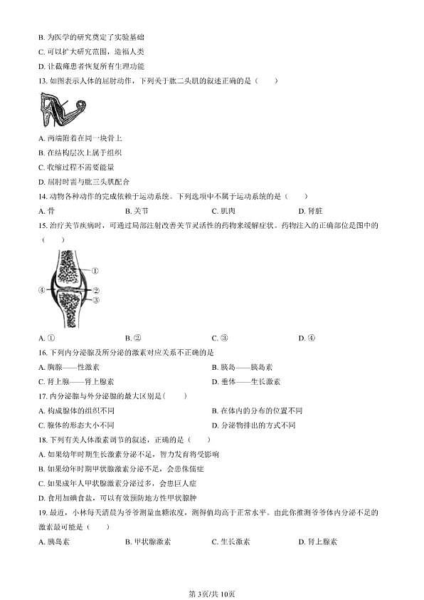 18103322第3页