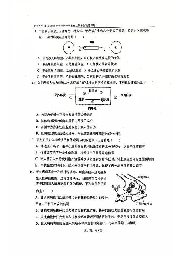 18103379第3页