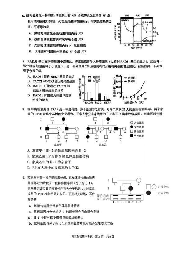 18103383第2页