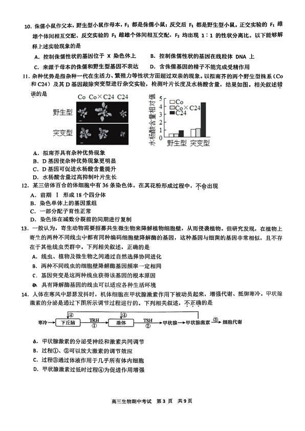 18103383第3页