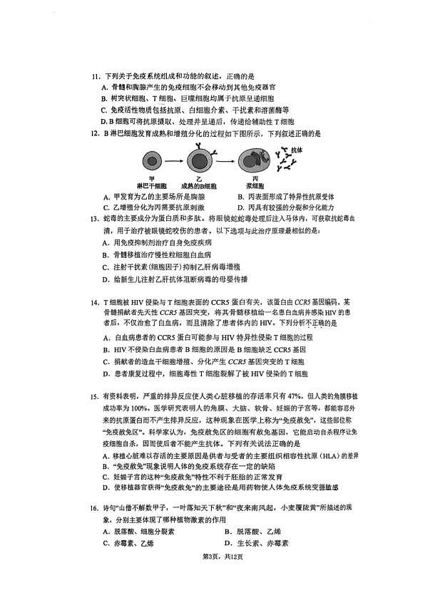 18103385第3页