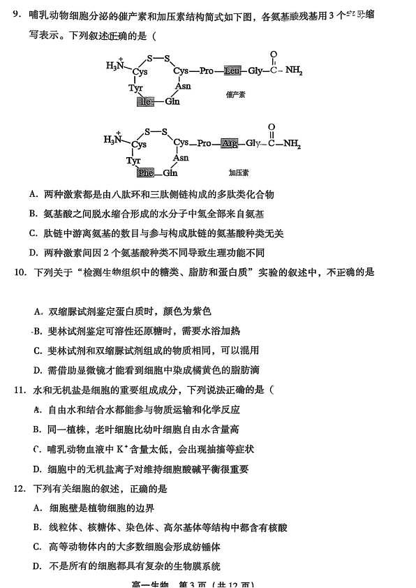 18103386第3页