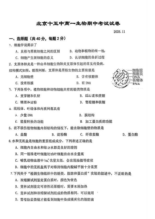18103388第1页