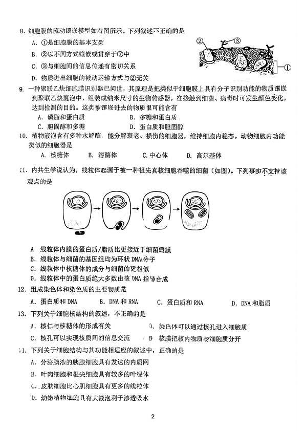 18103388第2页