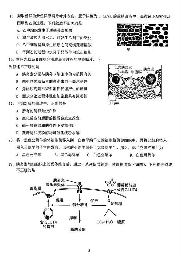 18103388第3页