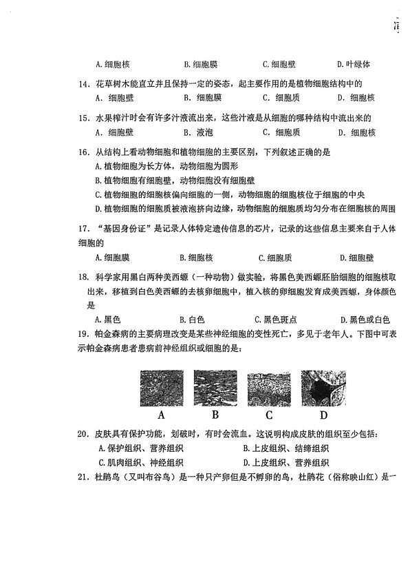 18103391第3页