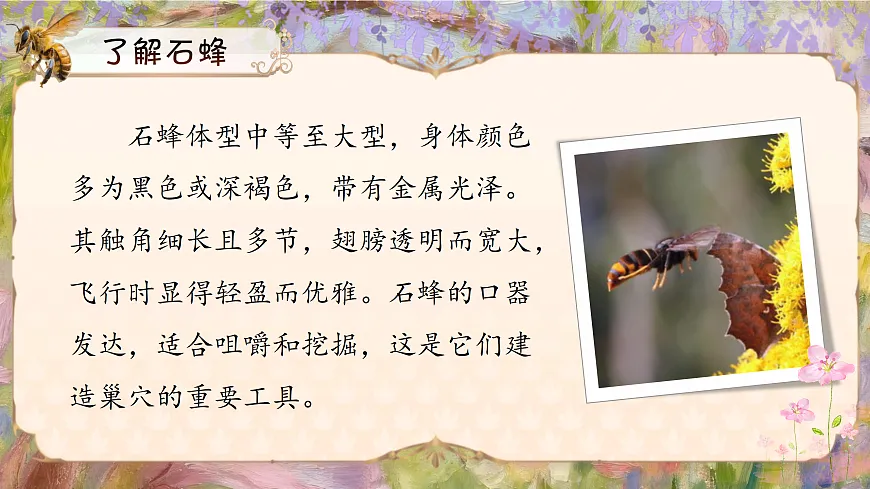 三下第三单元10《石蜂》(第一课时) 教学课件第7页