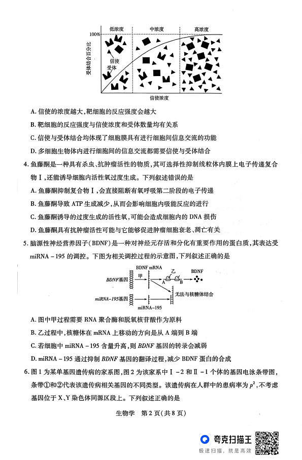 山西省、陕西省多校2026届高三下学期3月联考 生物第2页