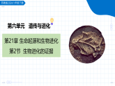 2026生物苏教版八年级下册6.21.2 生物进化的证据（教学课件）