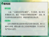 20.2  生物性状的决定（课件）2025-2026学年苏教版八年级生物下册