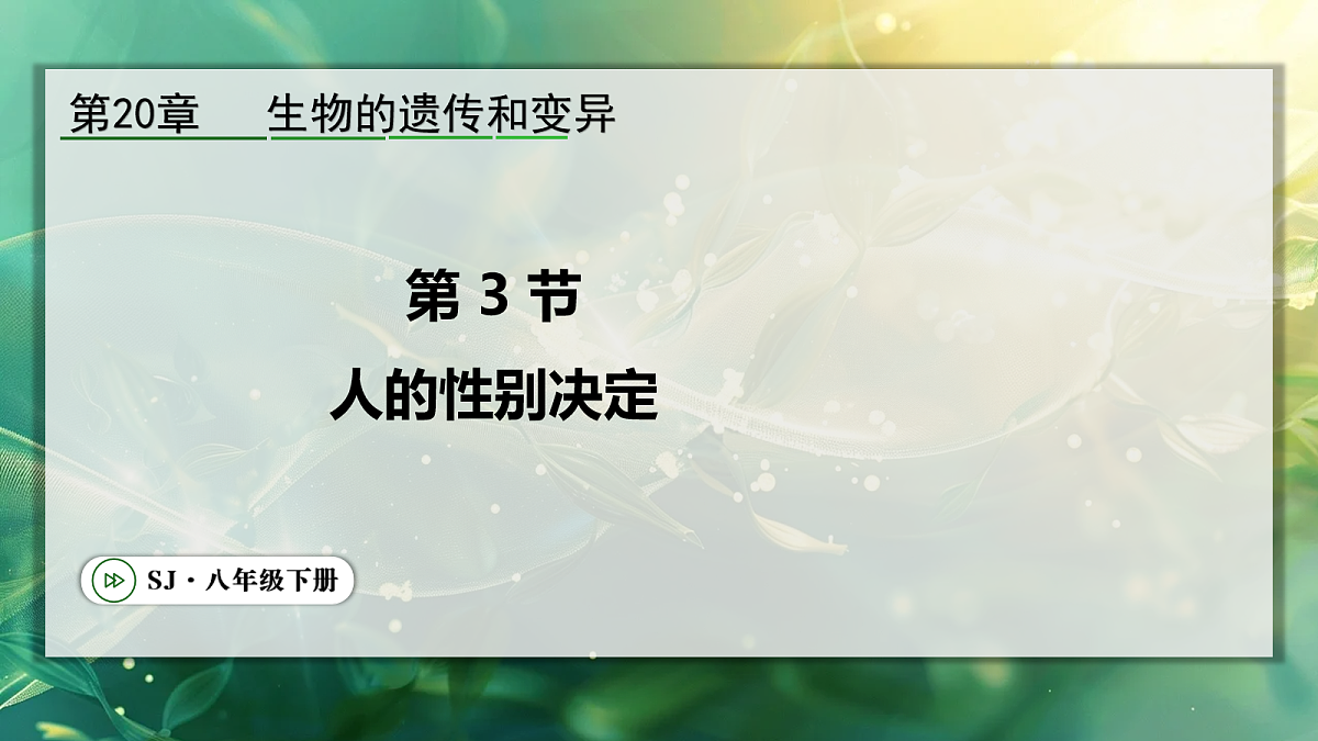 18104197第1页