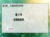 20.4  生物的变异（课件）2025-2026学年苏教版八年级生物下册