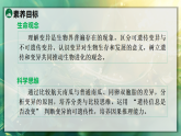 20.4  生物的变异（课件）2025-2026学年苏教版八年级生物下册