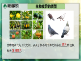 20.4  生物的变异（课件）2025-2026学年苏教版八年级生物下册