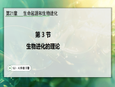 21.3  生物进化的理论（课件）2025-2026学年苏教版八年级生物下册