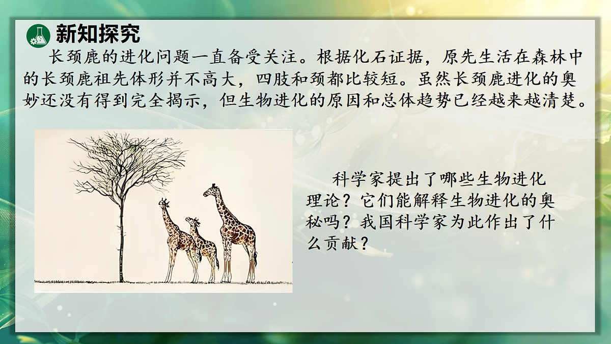18104201第4页
