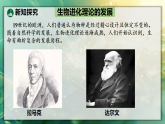 21.3  生物进化的理论（课件）2025-2026学年苏教版八年级生物下册