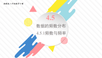 湘教版（2024）八年级下册（2024）第4章 数据分析4.5 数据的频数分布教学演示课件ppt