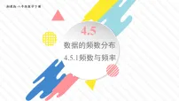湘教版(2024)八年级下册(2024)4.5 数据的频数分布授课课件ppt