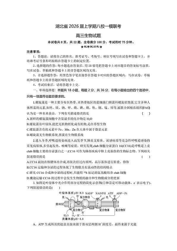 18104428第1页