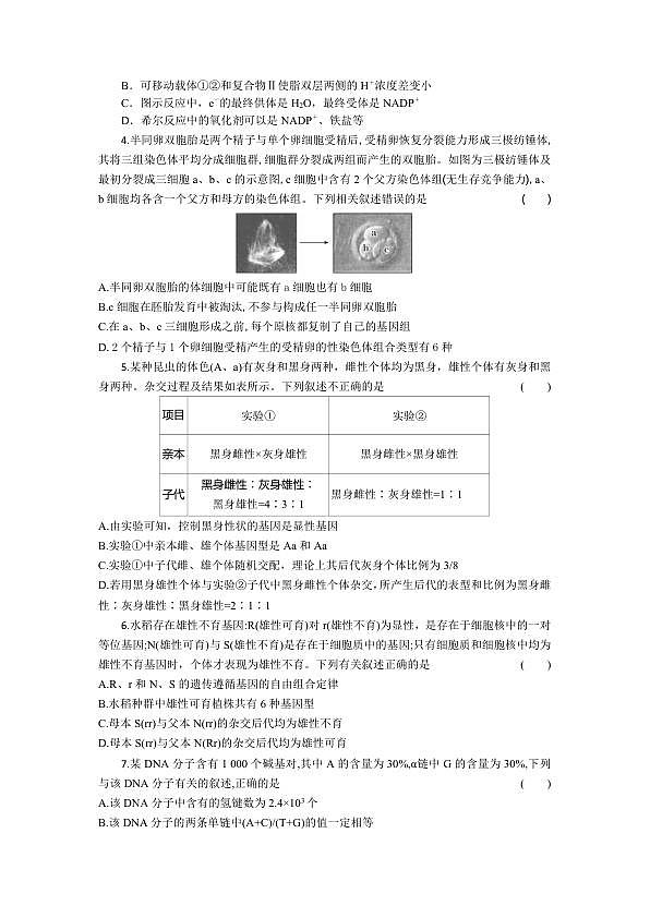 18104428第2页