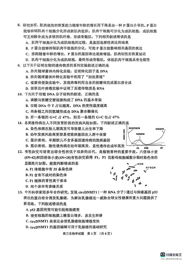 18104434第3页