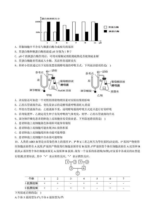 18104437第3页