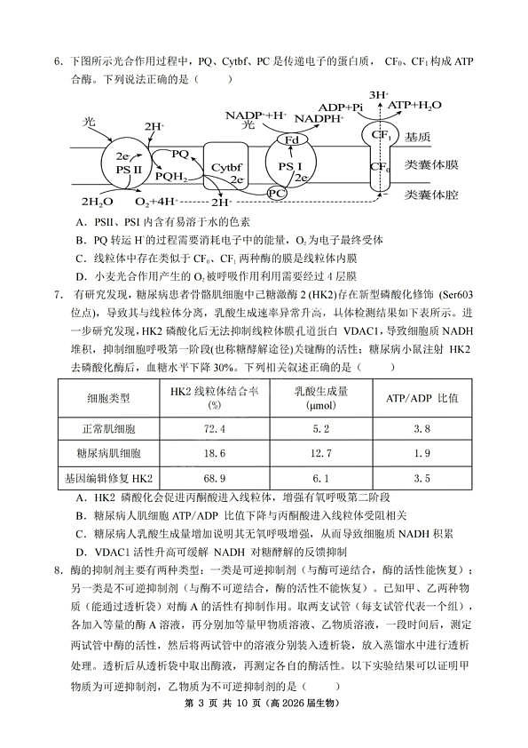 18104442第3页