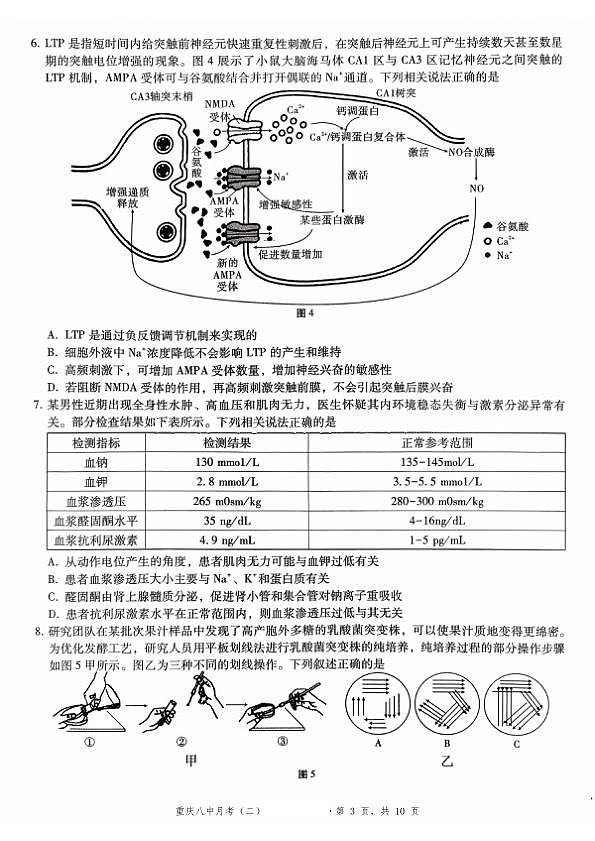 18104443第3页