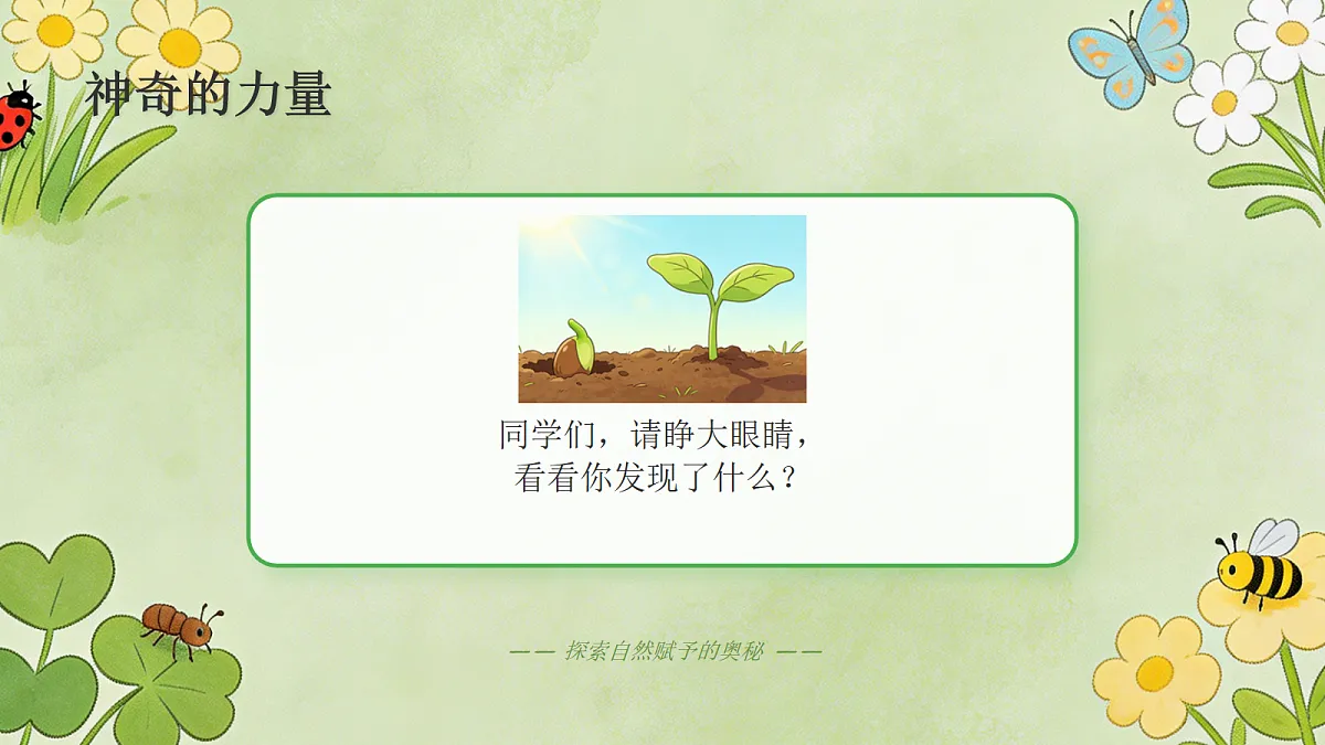 18104721第2页