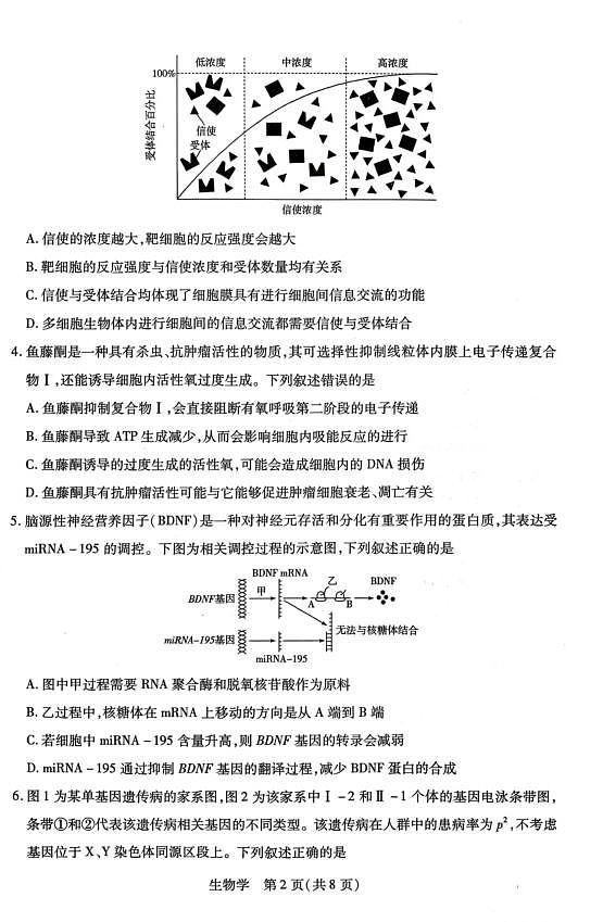 山西省、陕西省多校2026届高三下学期3月联考 生物第2页