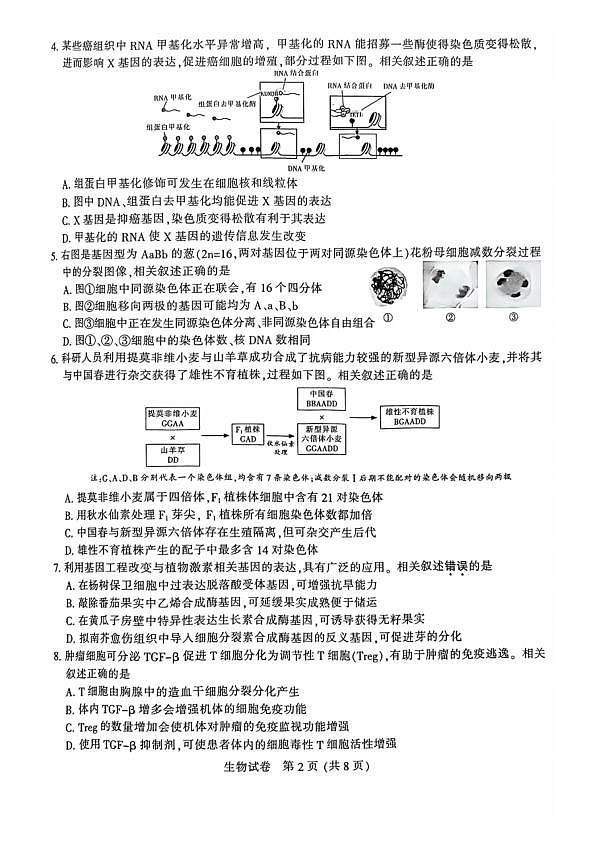 18105435第2页