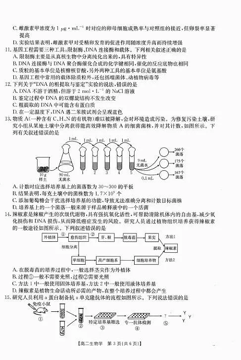 18105873第2页