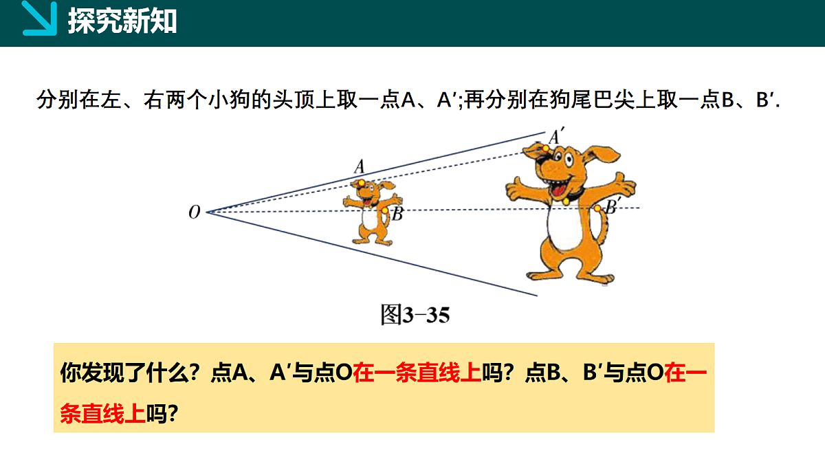 18105882第5页