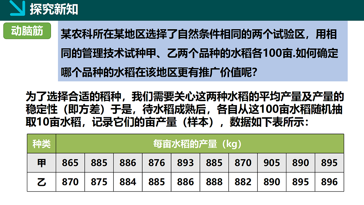 18105888第7页