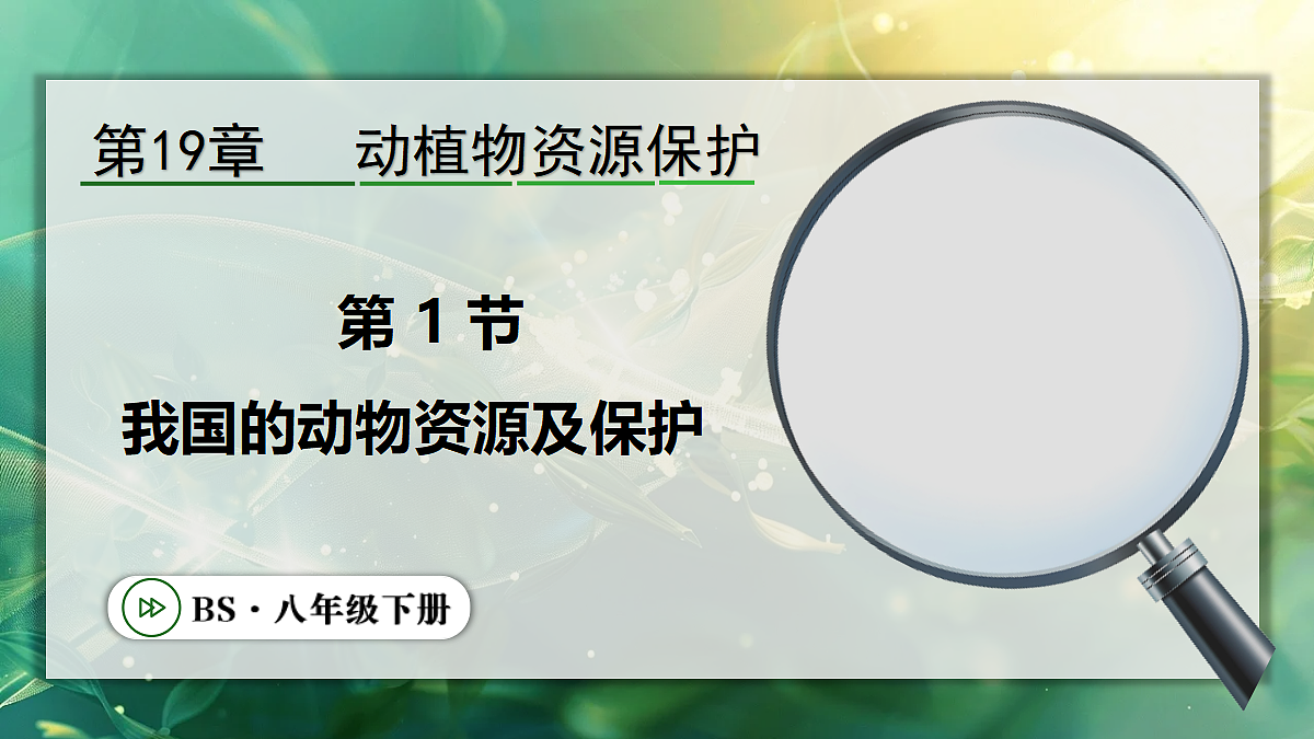 18105950第1页