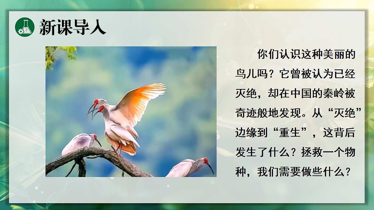 18105950第4页