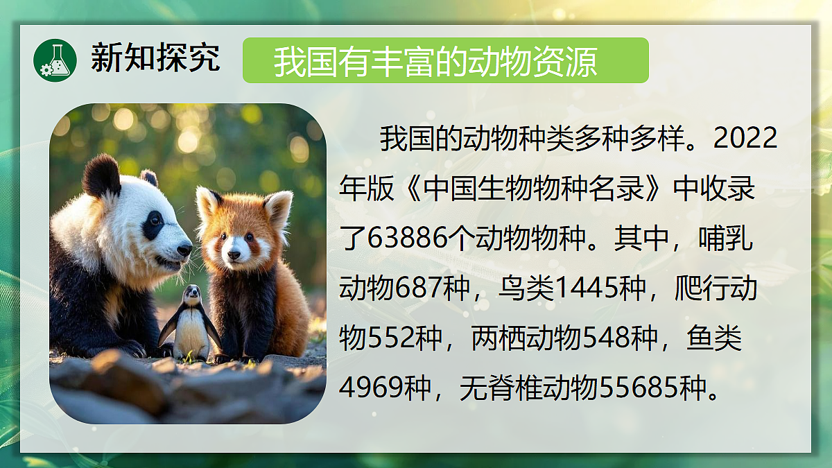 18105950第5页