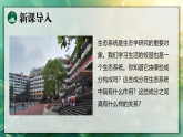 20.2 生态系统的组成 课件 北师大版生物八年级下册
