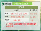 20.2 生态系统的组成 课件 北师大版生物八年级下册