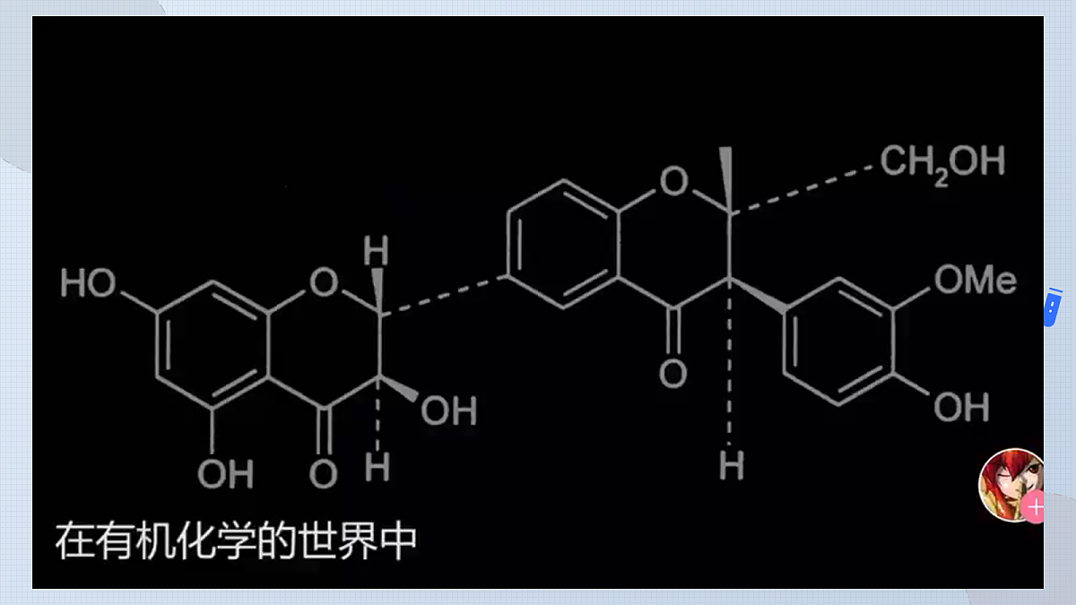 18106036第3页