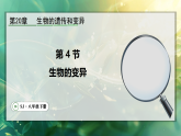 20.4 生物的变异 课件 苏教版生物八年级下册