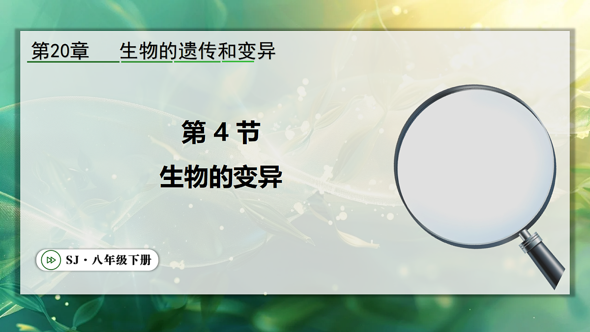 18106158第1页