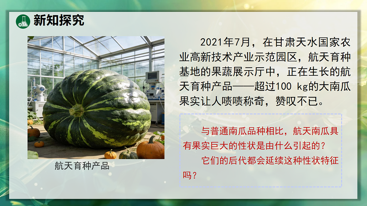 18106158第4页