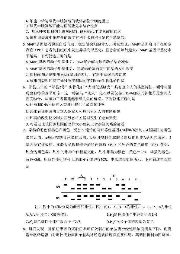 18106332第2页